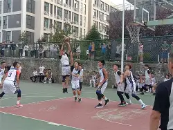 凤凰娱乐下载-篮球运动走进校园，激发学生运动热情(篮球进校园活动对中小学体育教学的影响)