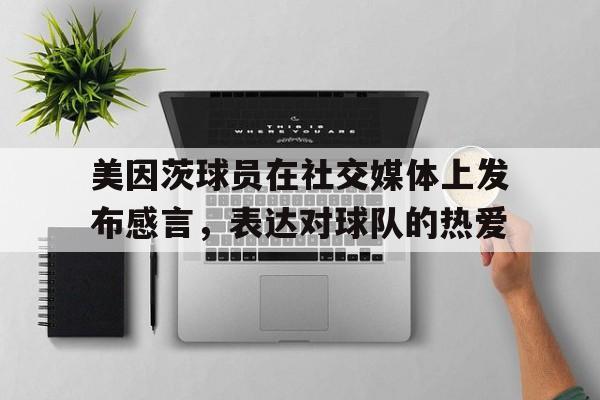 美因茨球队介绍