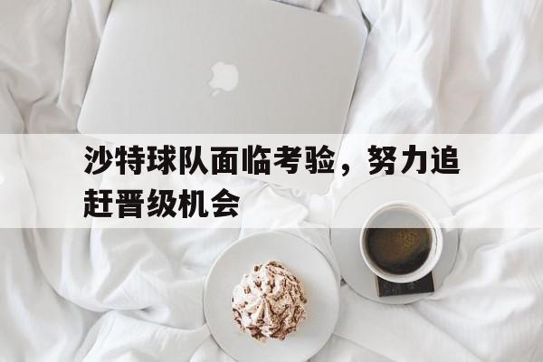 沙特球队面临考验，努力追赶晋级机会的简单介绍